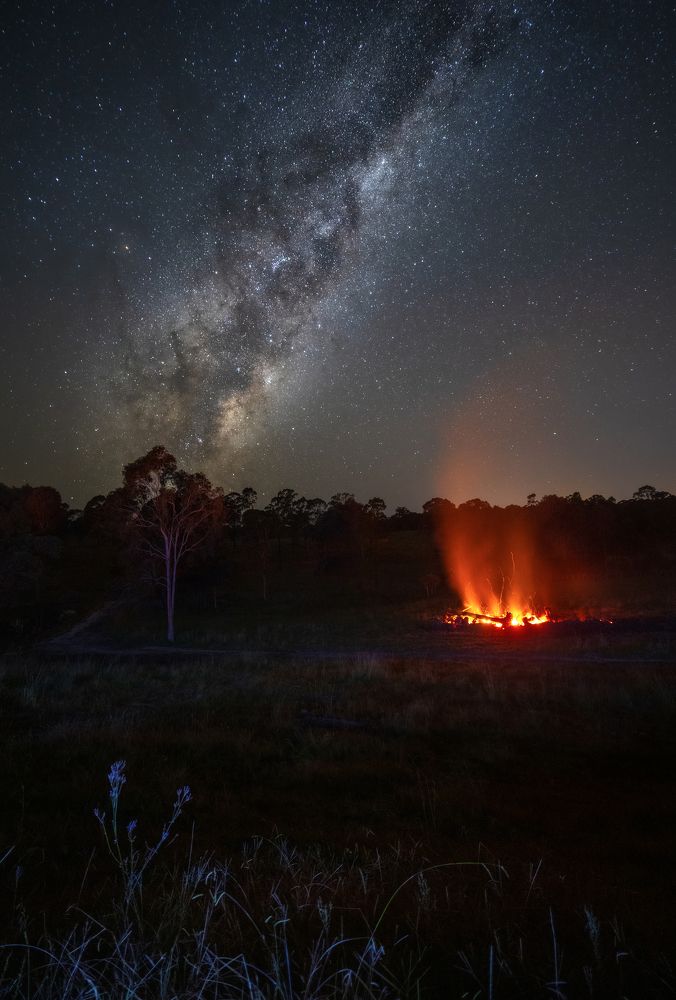 Photograph by Louise Richards