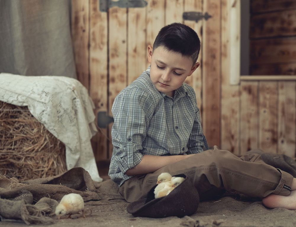 Любовь и дружба