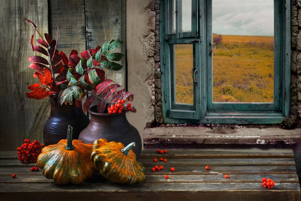 Фотография автора тамара шмакова