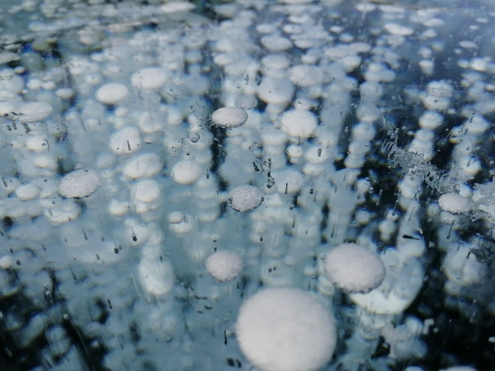 Photograph by София Гаязова