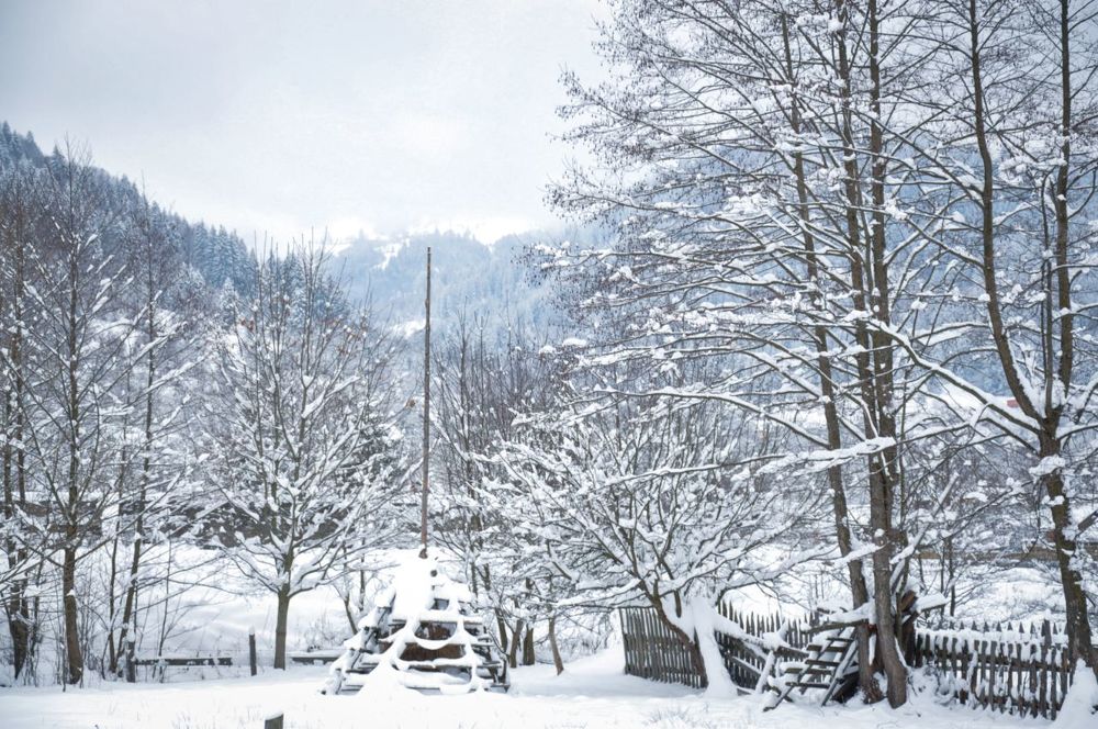 Photograph by Ольга Кудина