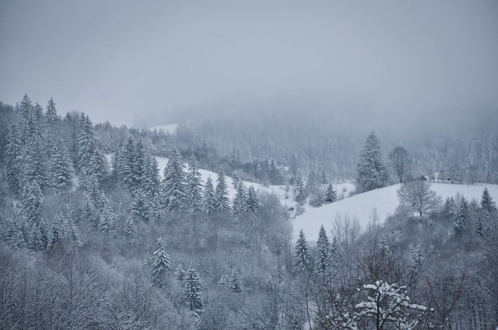 Photograph by Ольга Кудина