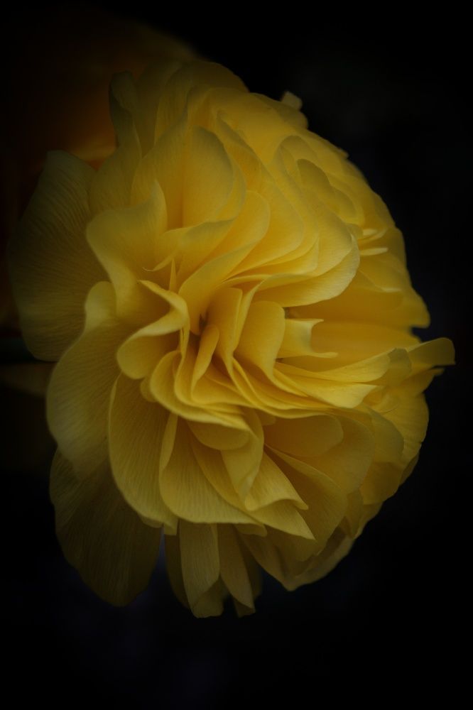 Photograph by Евгения Уманец