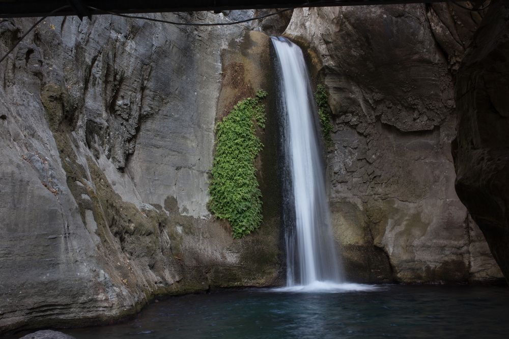 Photograph by Anna Chizh