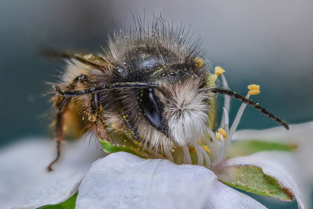 Photograph by Андрей Зимин