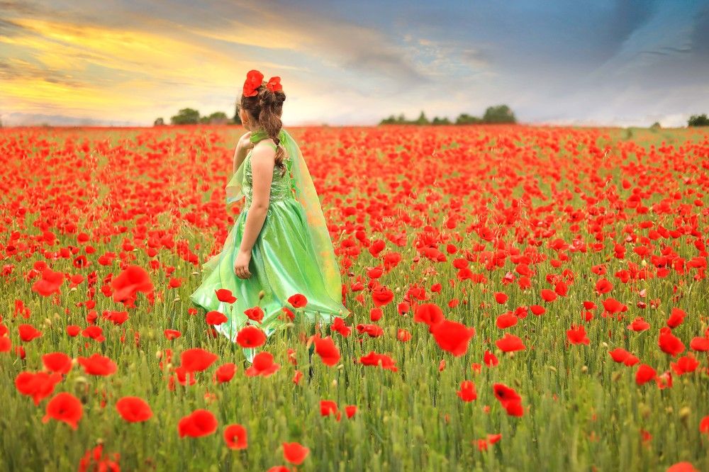 Photograph by LikaStar Nemsadze