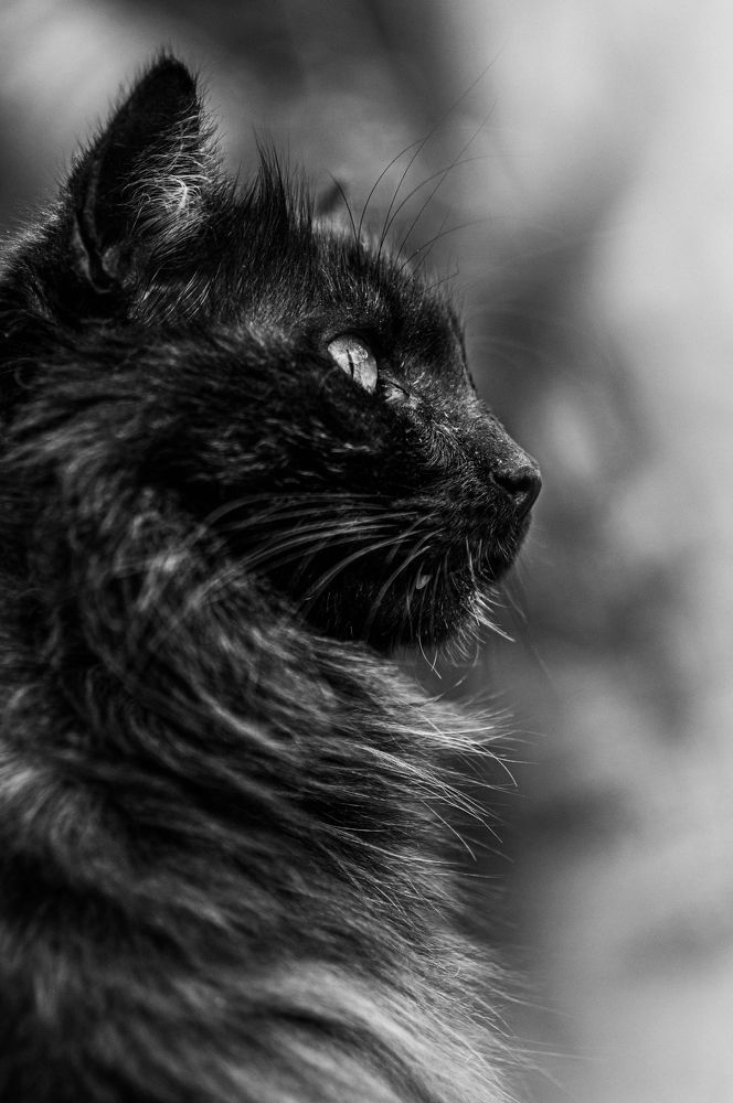 Photograph by Ольга Кудина