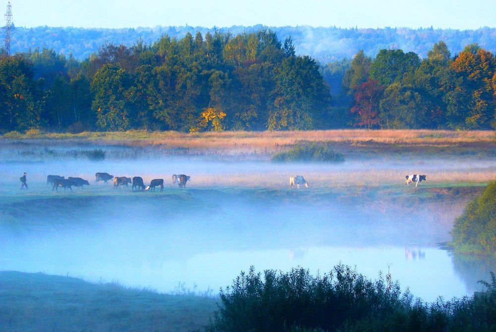 Photograph by леонид натапов