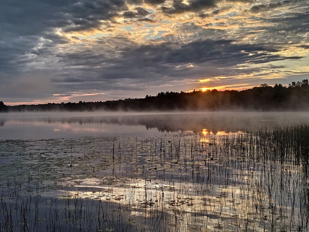 Photograph by Оксана