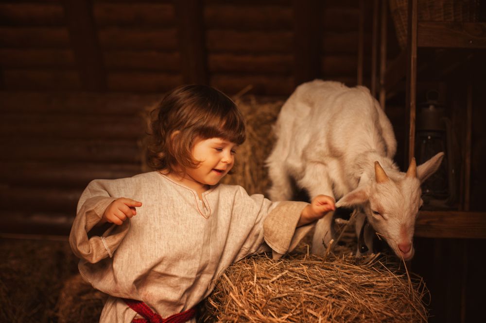 Photograph by Татьяна Муравкина