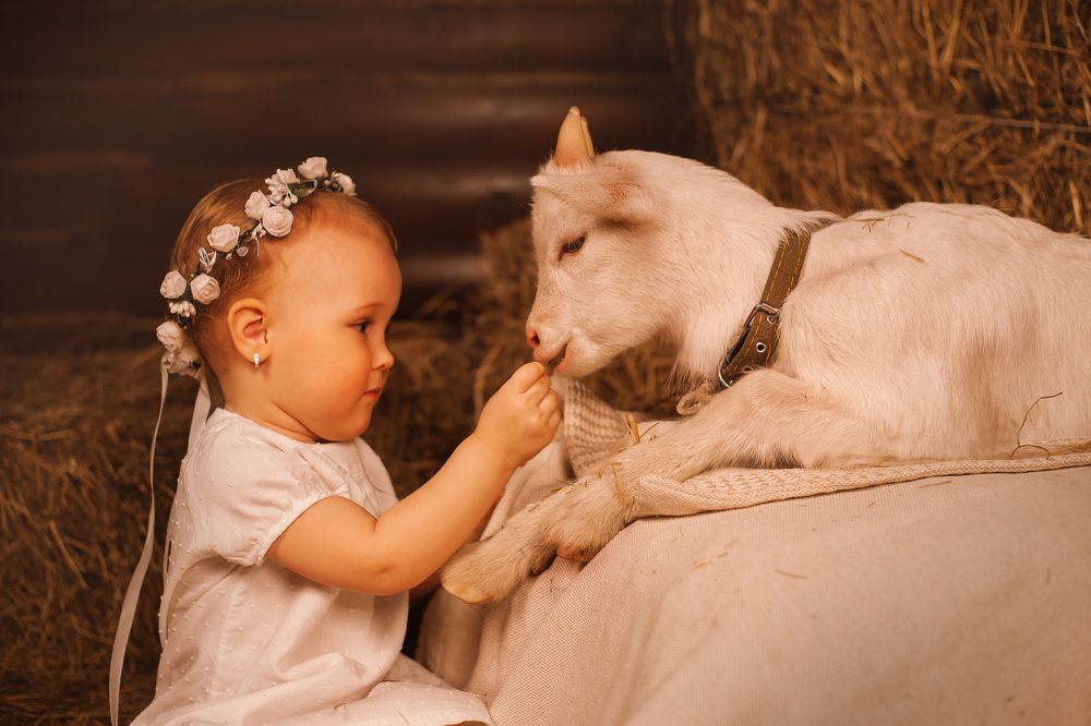 Photograph by Татьяна Муравкина