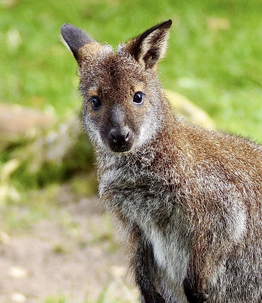 Photograph by Andrea Kistner