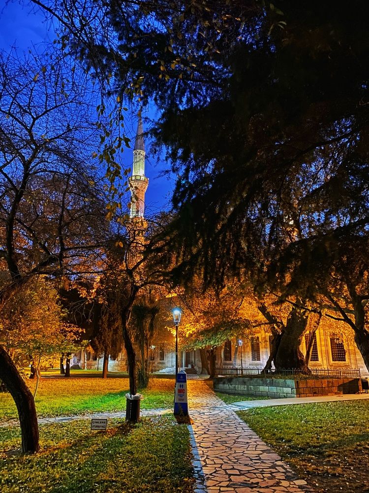 Photograph by Александр Кудрявцев