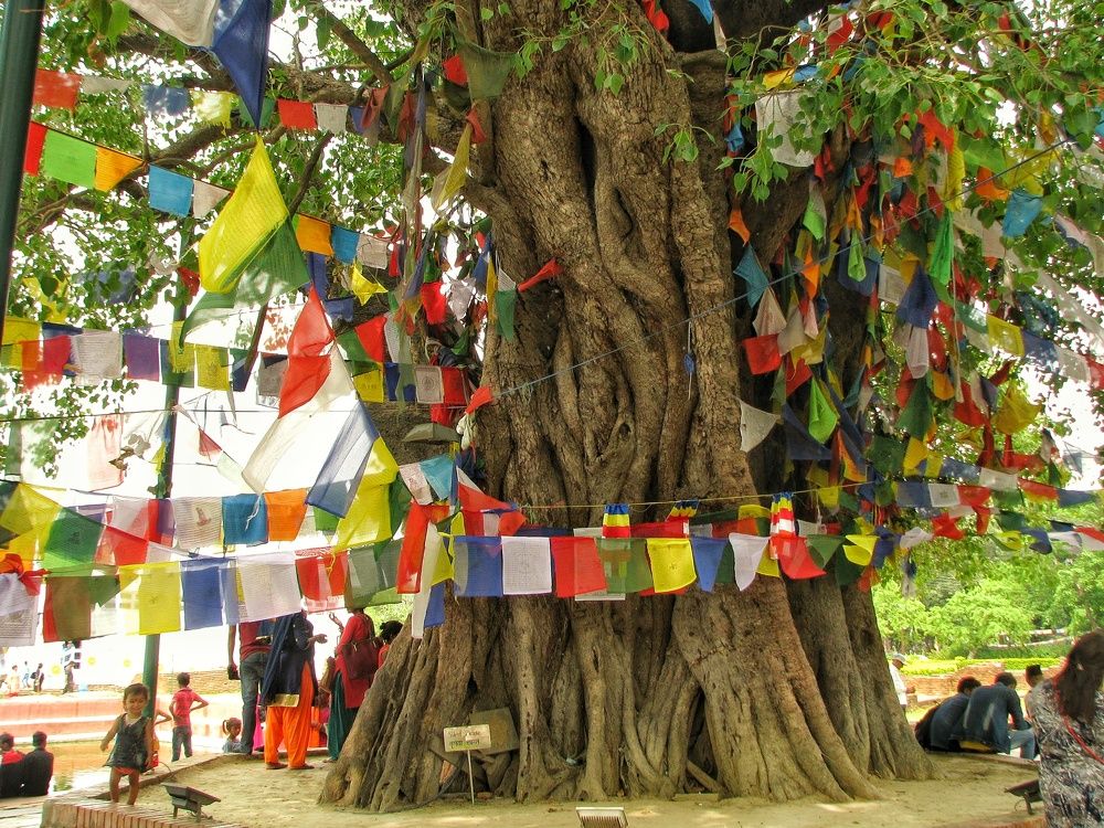 Photograph by DHIRAJ GOSWAMI