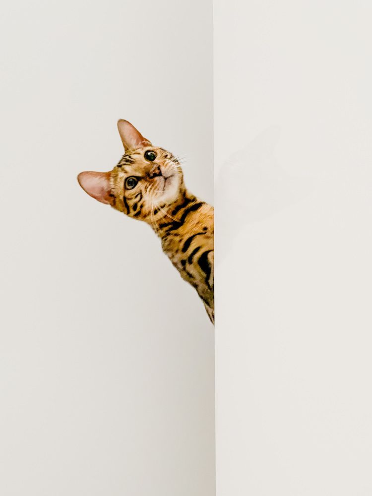 Photograph by Юлия Егорова