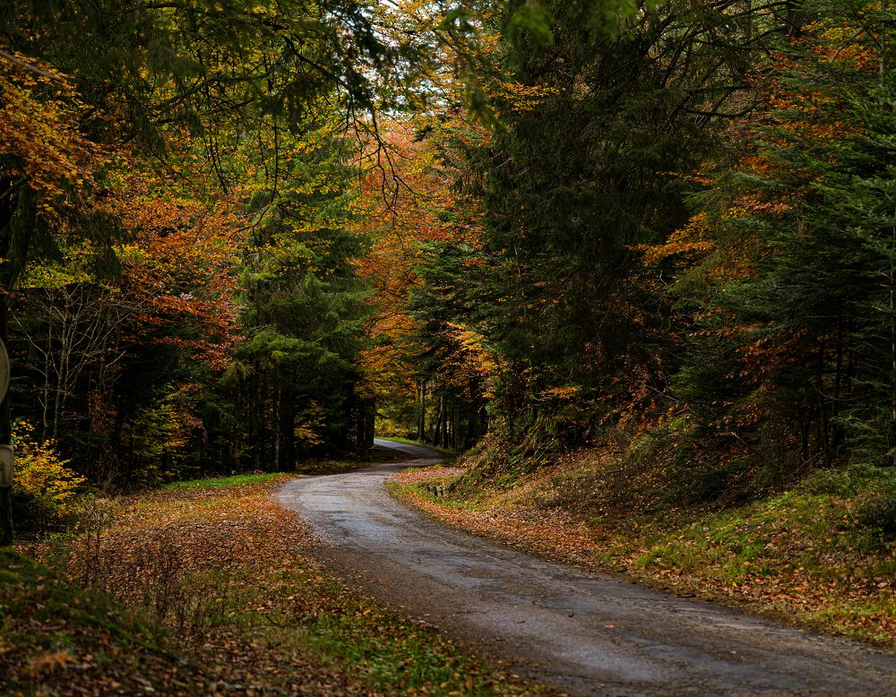 Photograph by Valentina Acrement