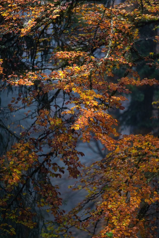 Photograph by Valentina Acrement