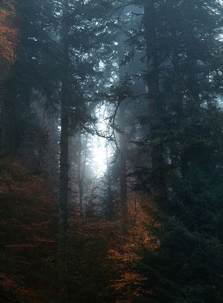 Photograph by Valentina Acrement