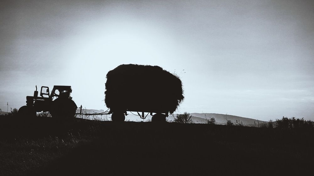 Photograph by Марсель Батыршин