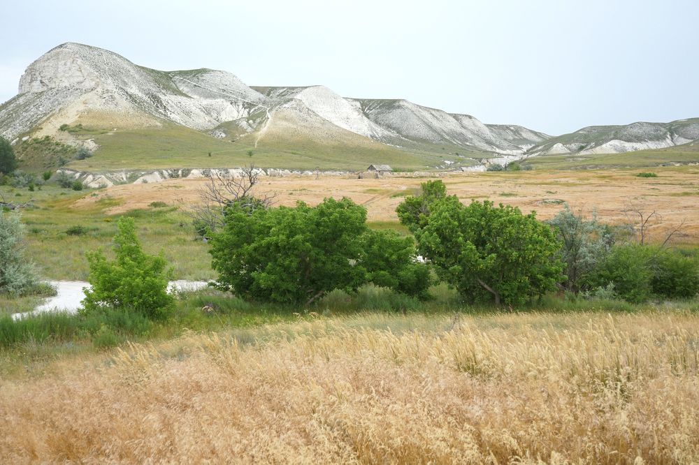 Меловые горы и степь-в летний день.