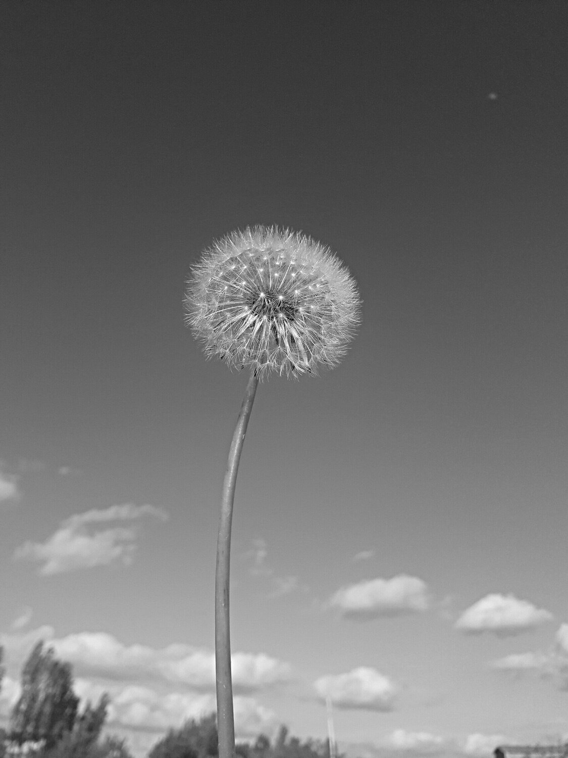 Photo #6035519