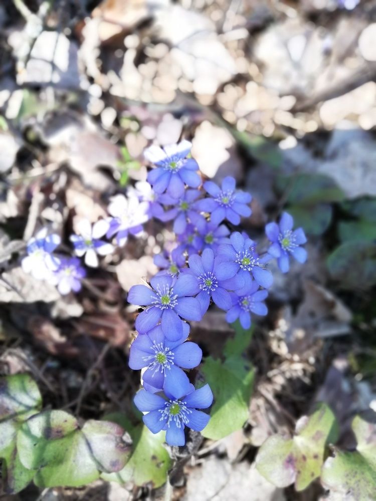 Фотография автора Алёна Лукачёва