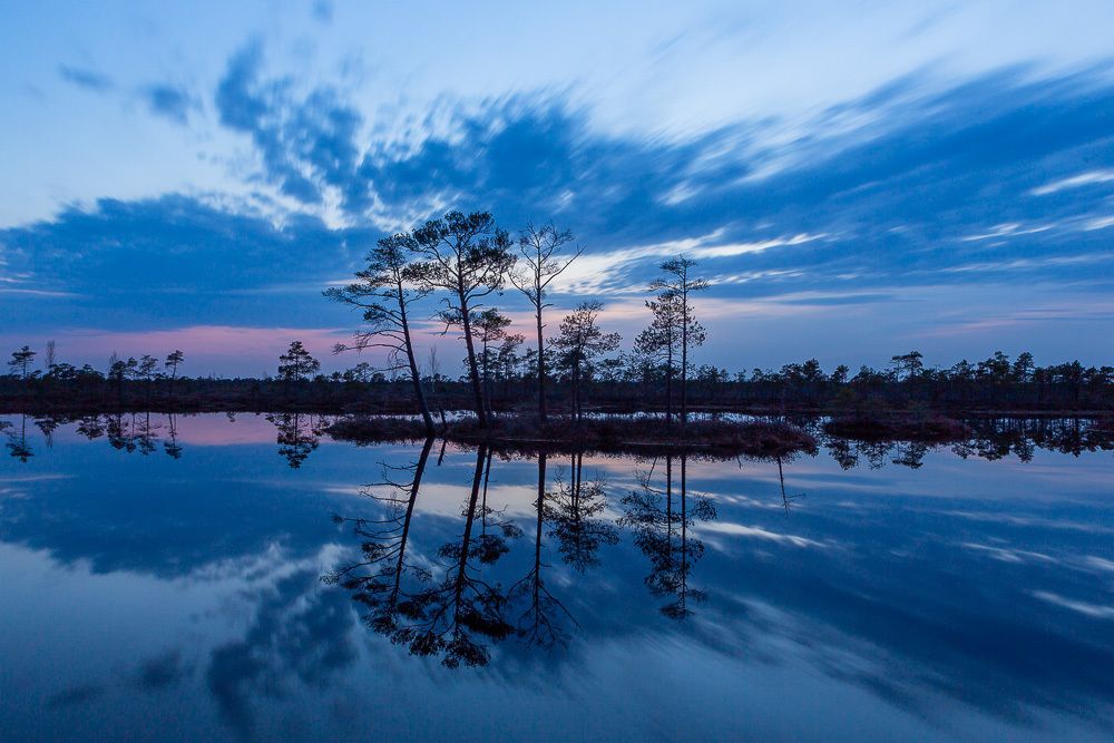 Photograph by Eriks Zilbalodis