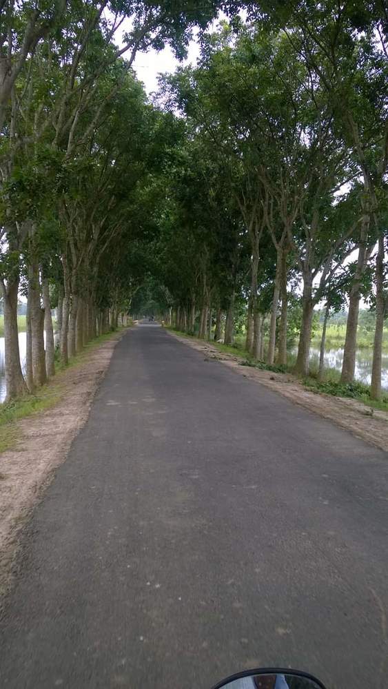 Photograph by Masud Parvez
