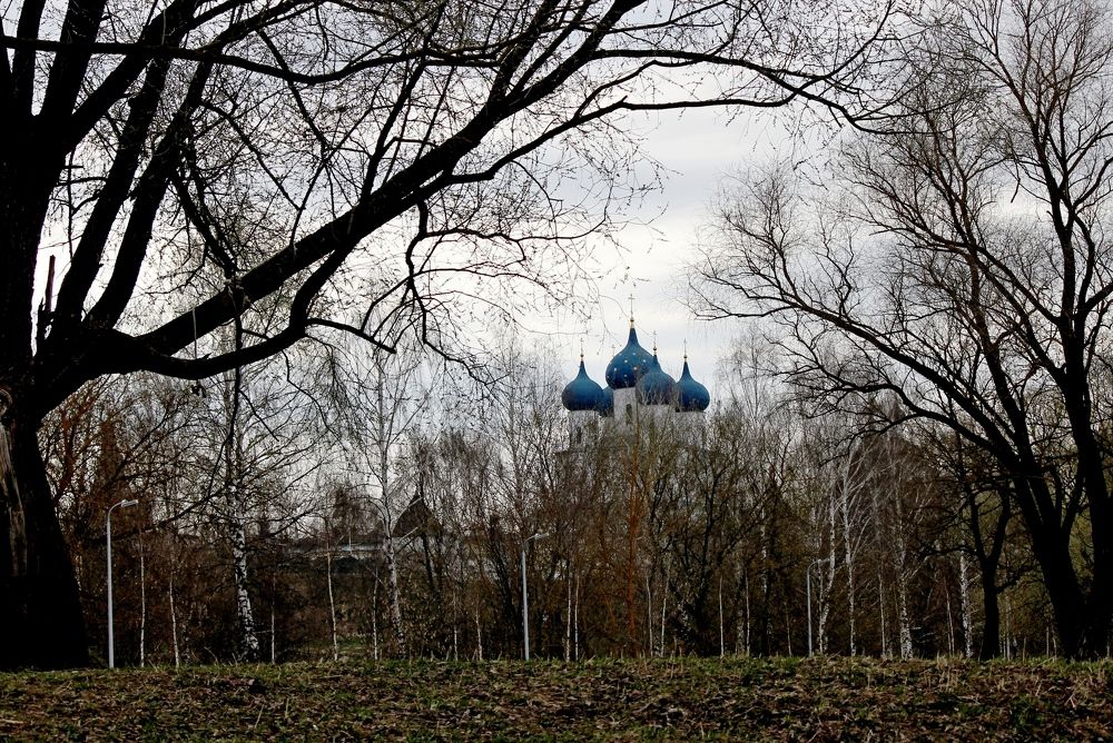 Photograph by Александр Бугаенко