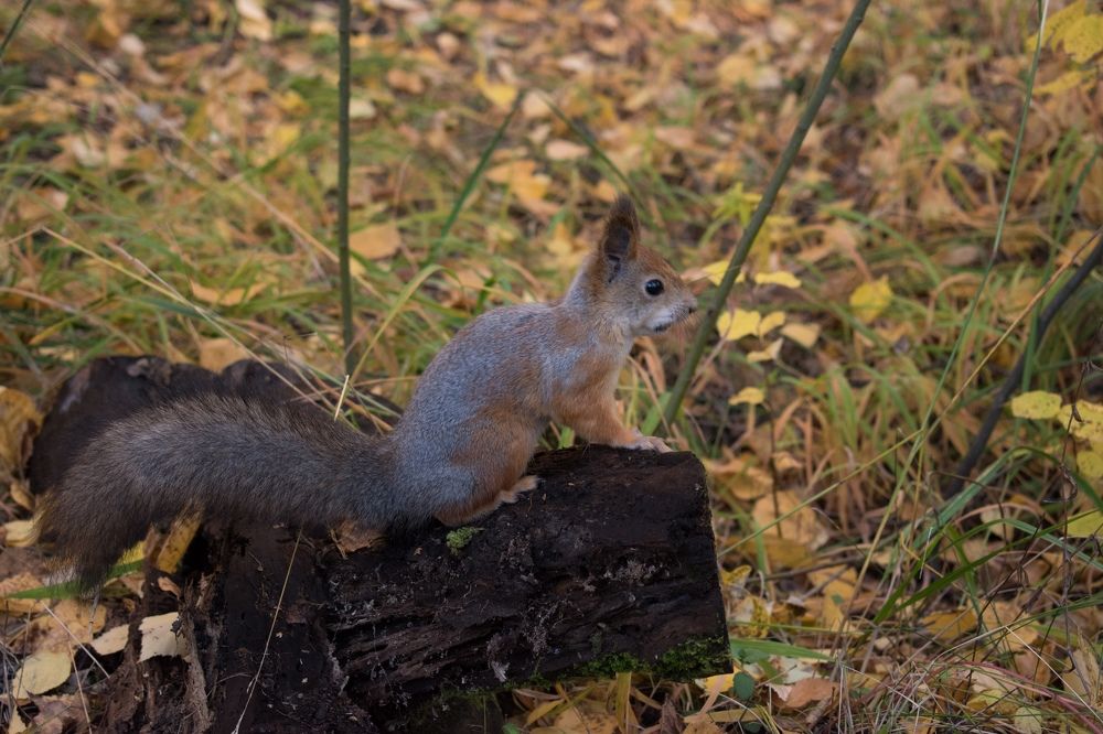 Photograph by Валерия
