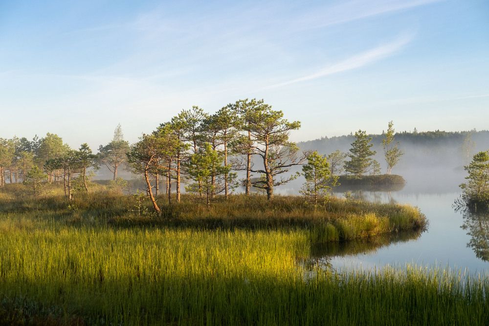 Photograph by Ирина Баранова