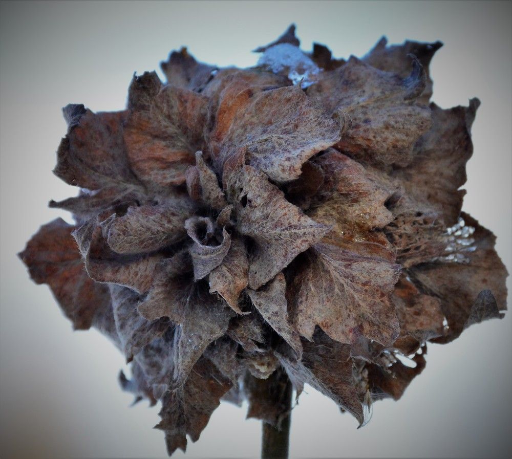 Photograph by Наталья Кошелева