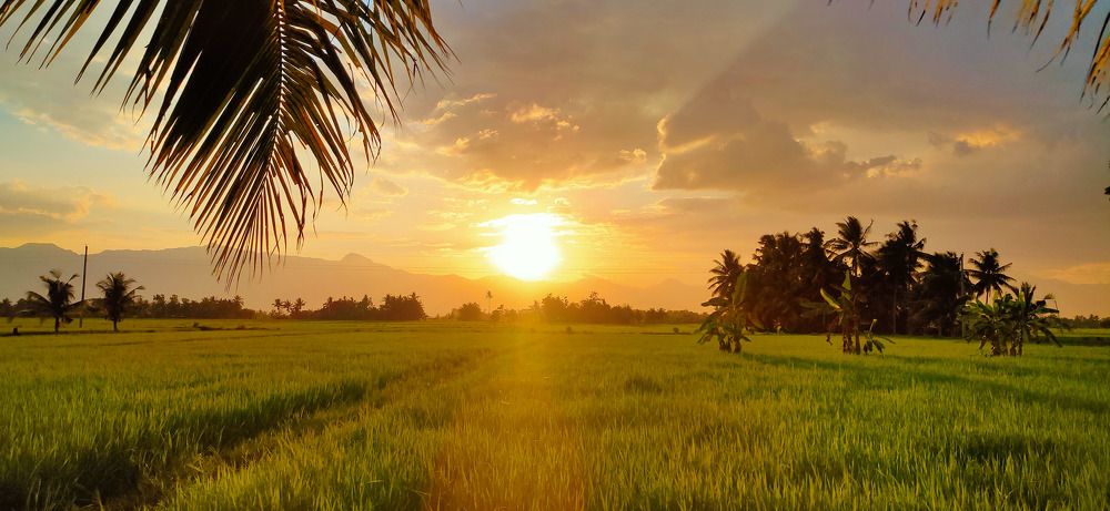 its in the east where the sun's set