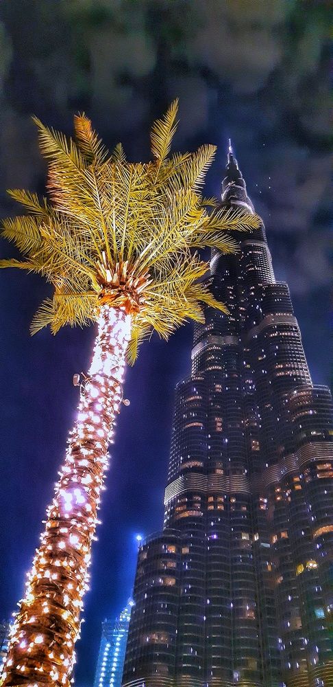 Фотография автора Савченко Наталия