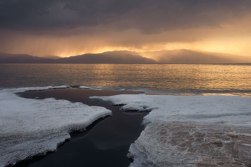 Photograph by Alex Savenok