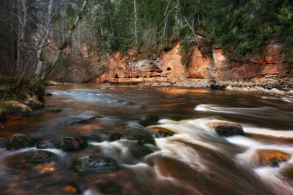 Photograph by Dace Spalviņa