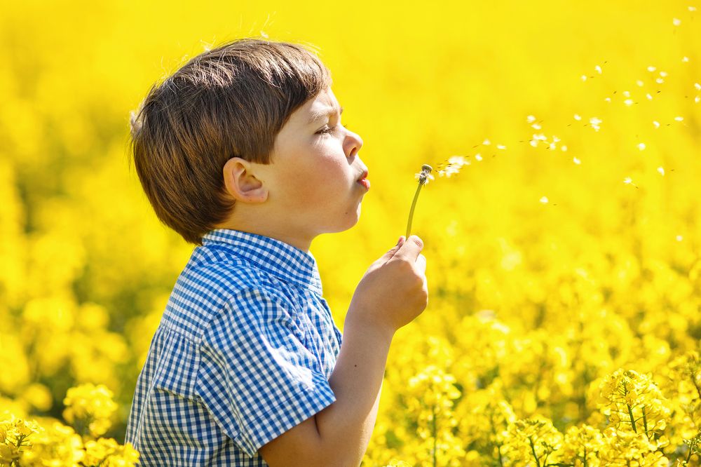 Фотография автора Гудкова Светлана