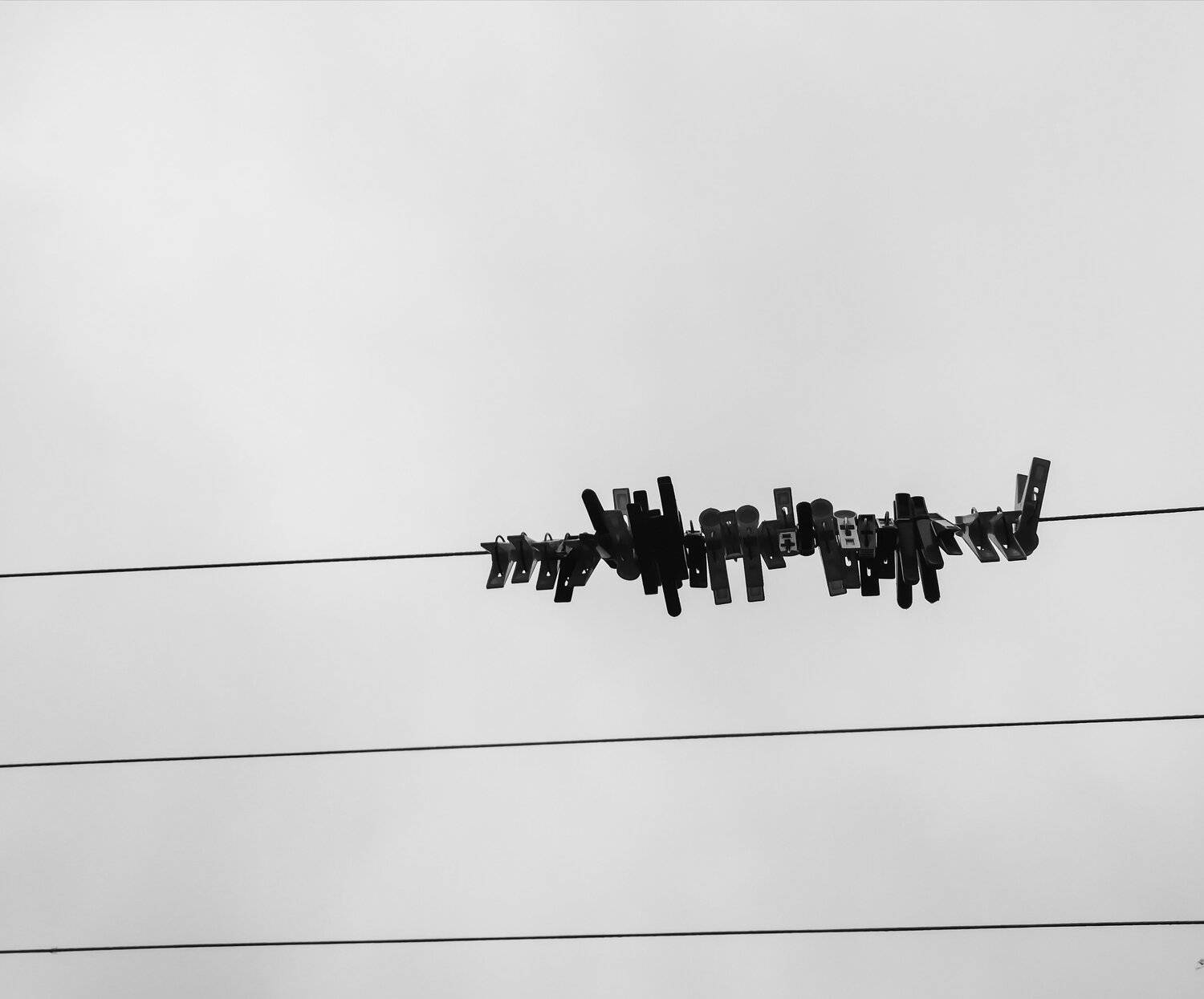 Photo #6036177