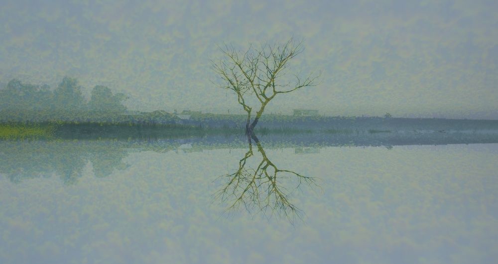 Photograph by Atik Abrar