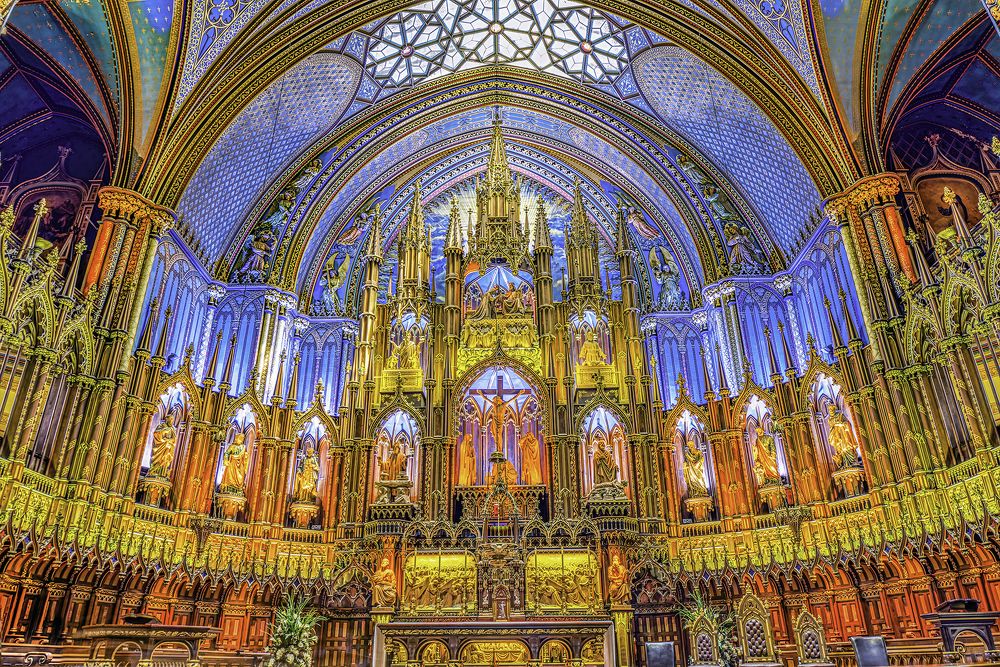 Фотография автора Dr.Hitesh Patel