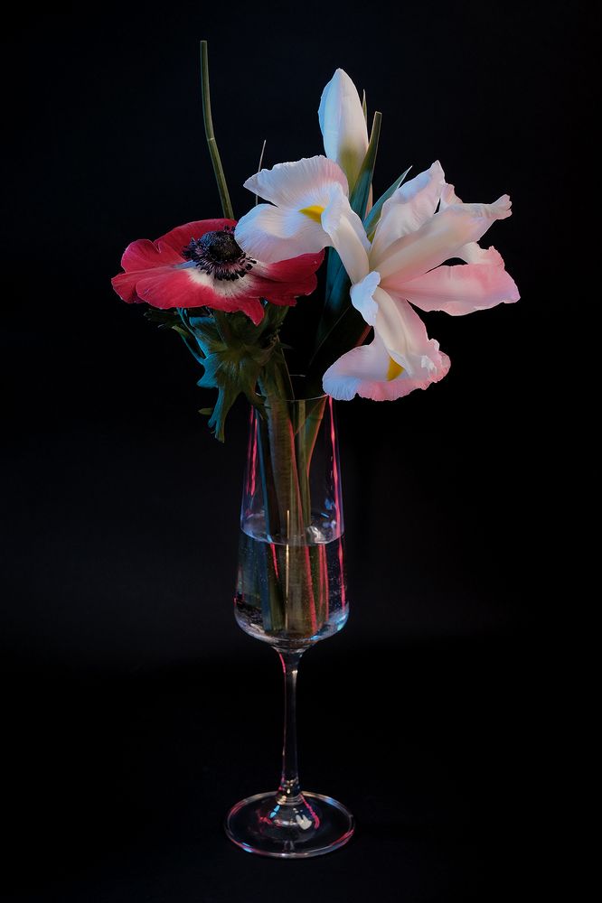 Красота нежность