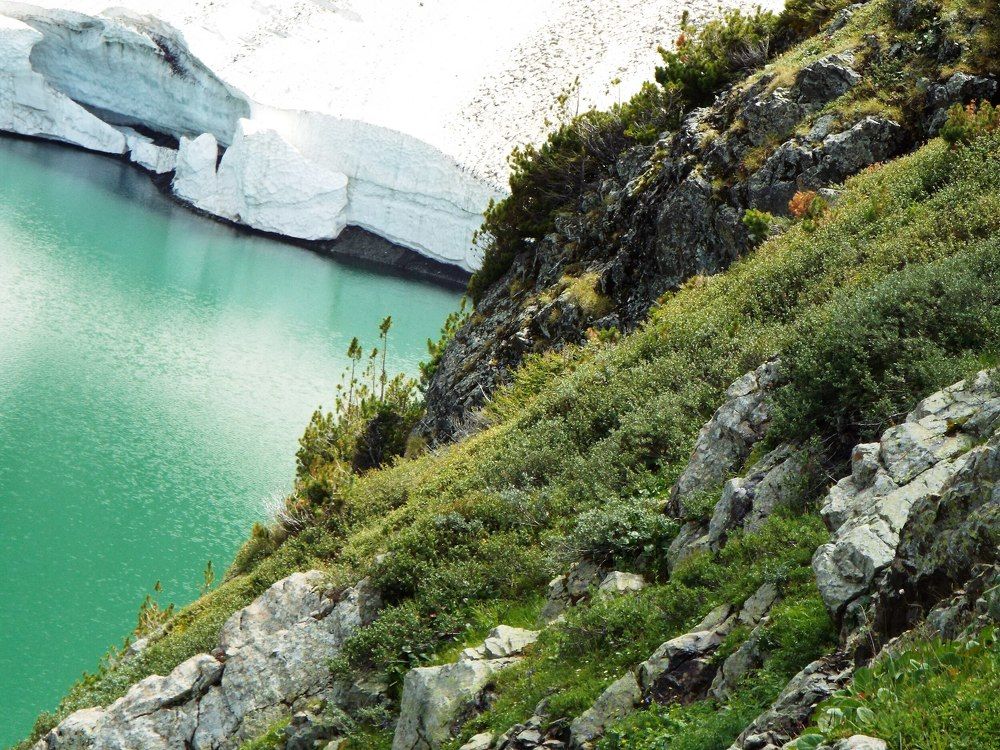 Photograph by Ирина