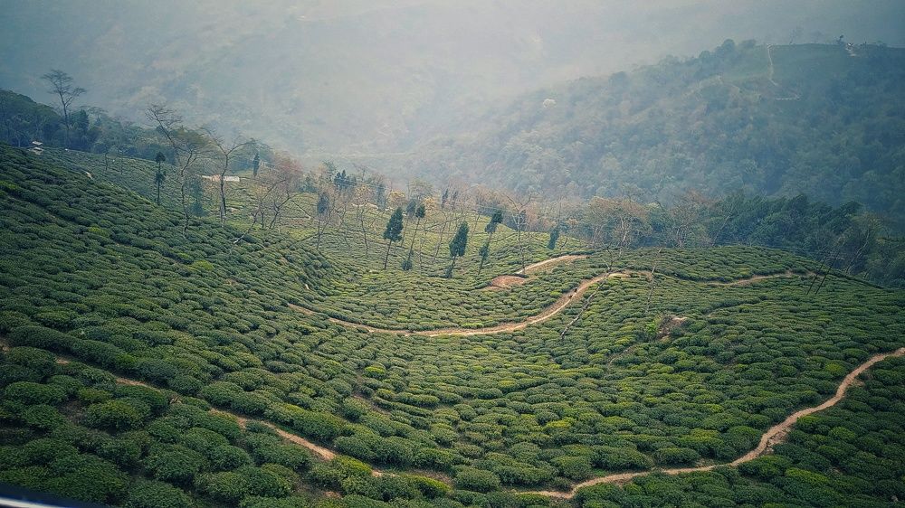 Photograph by Naresh Kumar