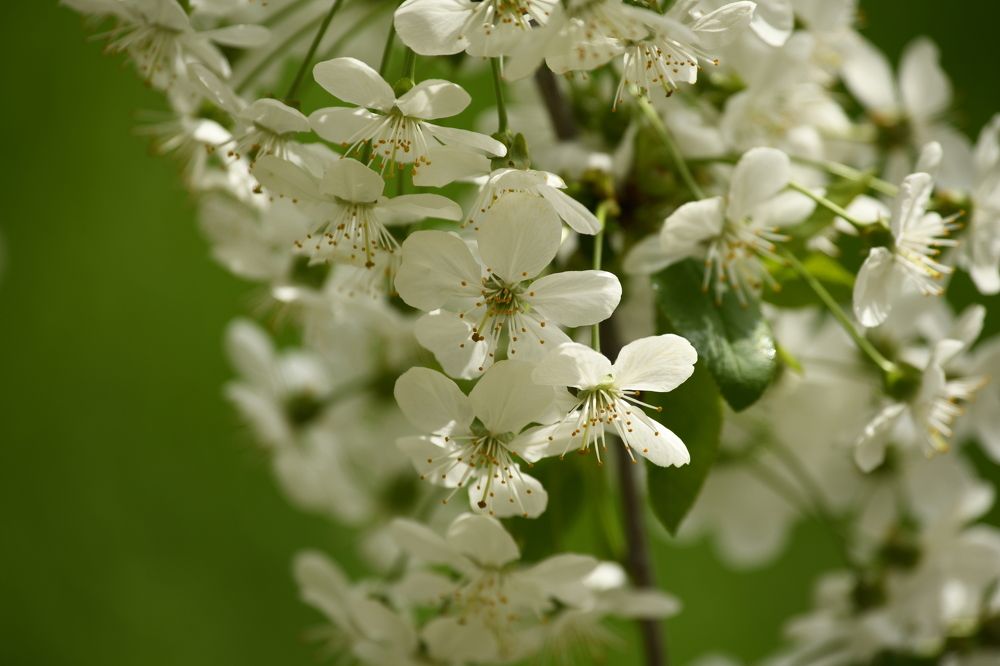 Photograph by Photobonum ZT