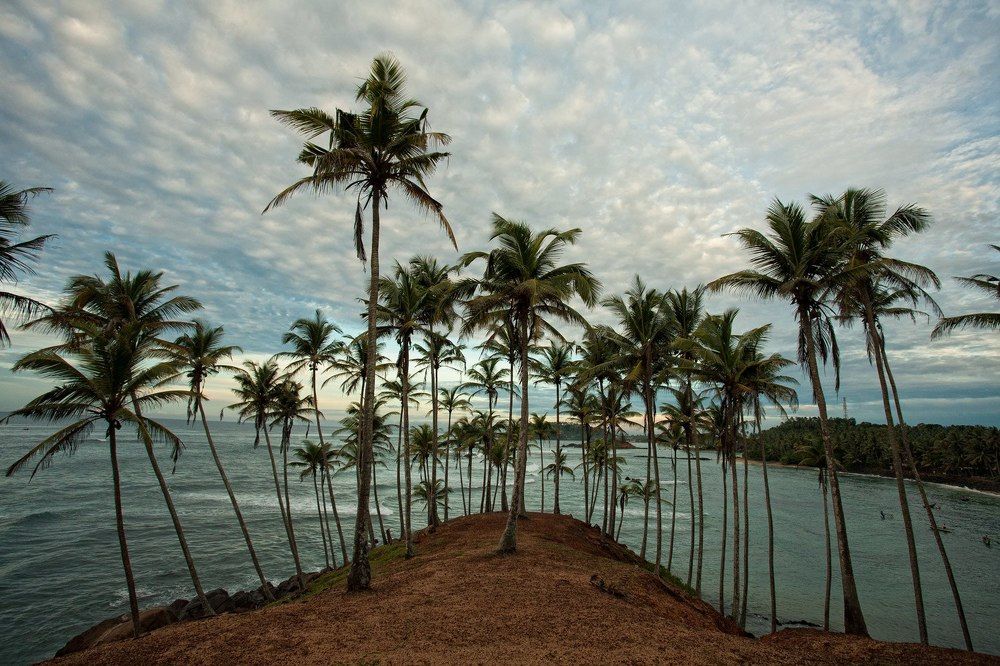 Photograph by Артем Воробьев