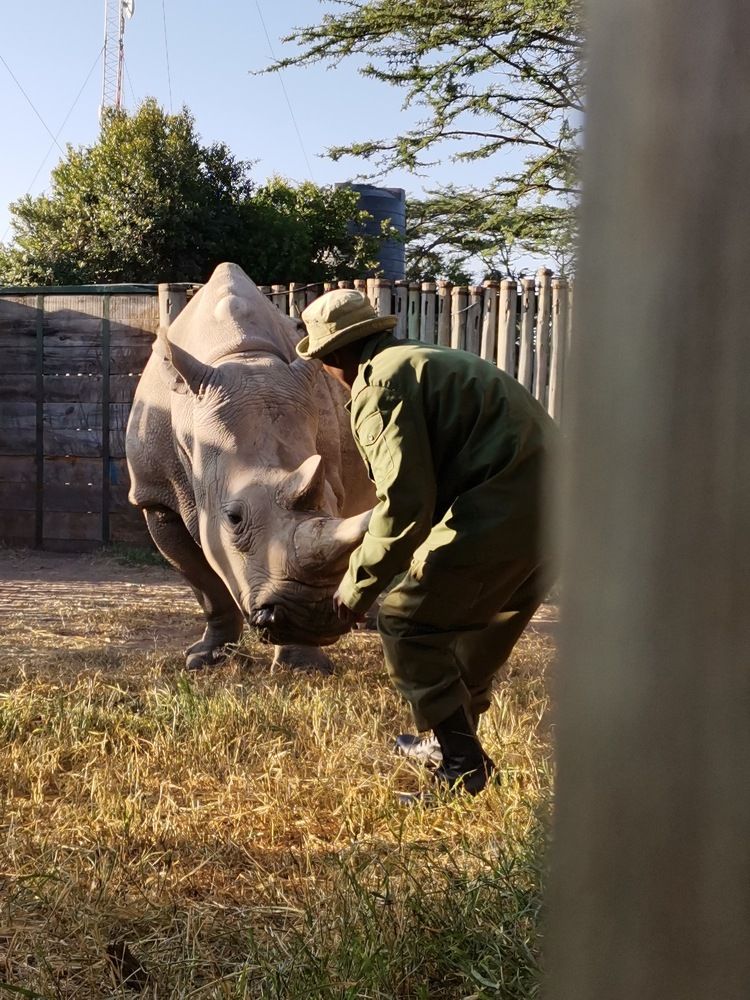 Photograph by Elizabeth Muthoni
