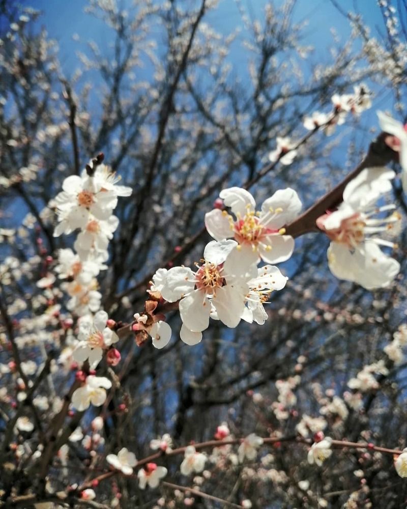 Photograph by Виталий Гончаров