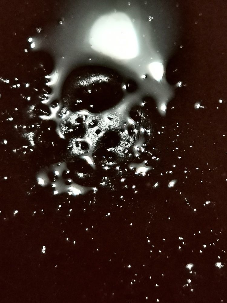 Photograph by Luís Miranda