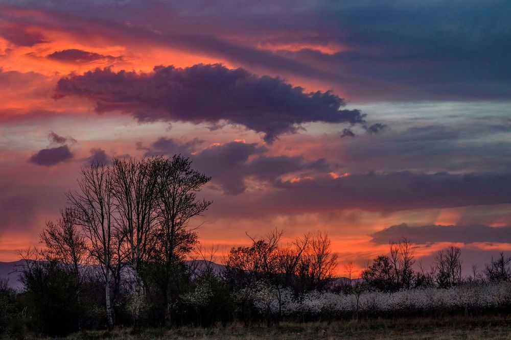 Photograph by Reza Heydari