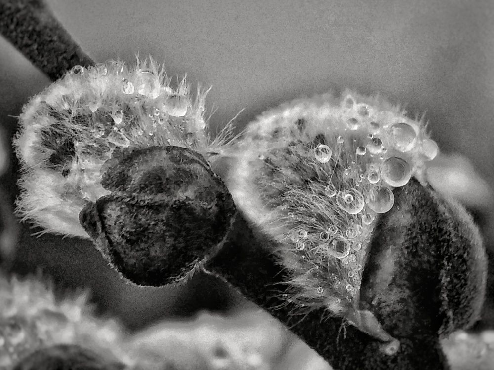 Photograph by Алексей Копылов